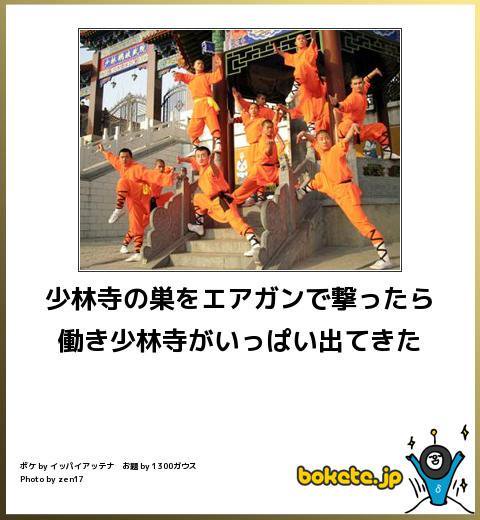 面白い画像でボケて 少林寺の巣をエアガンで撃ったら働き少林寺がいっぱい出てきた