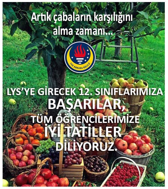 Tüm arkadaşlarımıza başarılar diliyoruz!