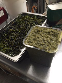 AmberHavecafe's tweet photo. Fresh from the garden taught the students @havecafe to make fire grilled Garlic scape pesto next Pasta #yummy https://t.co/h40y0J2fSe