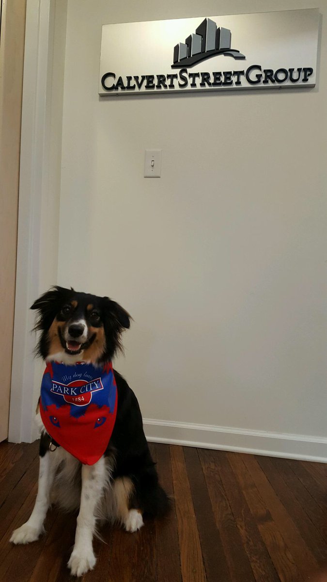 CalvertStreet's tweet photo. We were lucky enough to get a visit from Miss Mabel today! #dogatworkday https://t.co/KBV9S9kCxQ