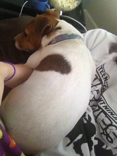 pennyjrt's tweet photo. Hi my names penny and I have no concept of Personal space https://t.co/FSTsTZQqH8