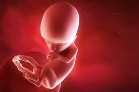 MandBonline's tweet photo. https://t.co/LGe7hi6L09   what's your baby doing week 13 #mandbonline #pregnancy #baby https://t.co/JaYw1zHKLZ