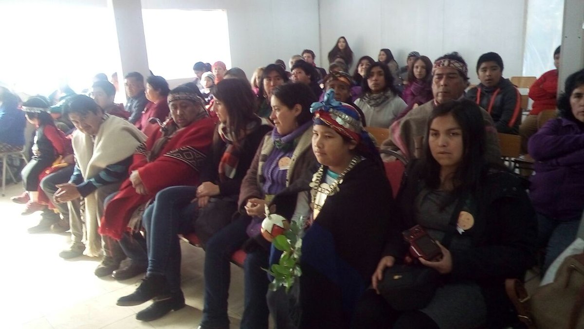 PEFC_cl's tweet photo. Hoy nos unimos a #MUCECH para aprender de la comunidad Mapuche y celebrar con mucho respeto el #DiaPueblosIndigenas https://t.co/KWDAruCqzu