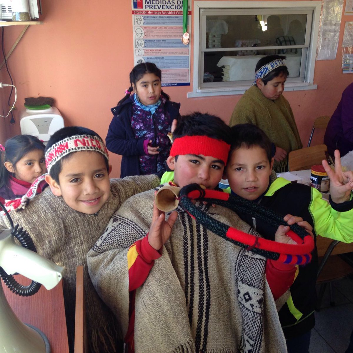 PEFC_cl's tweet photo. Hoy nos unimos a #MUCECH para aprender de la comunidad Mapuche y celebrar con mucho respeto el #DiaPueblosIndigenas https://t.co/KWDAruCqzu