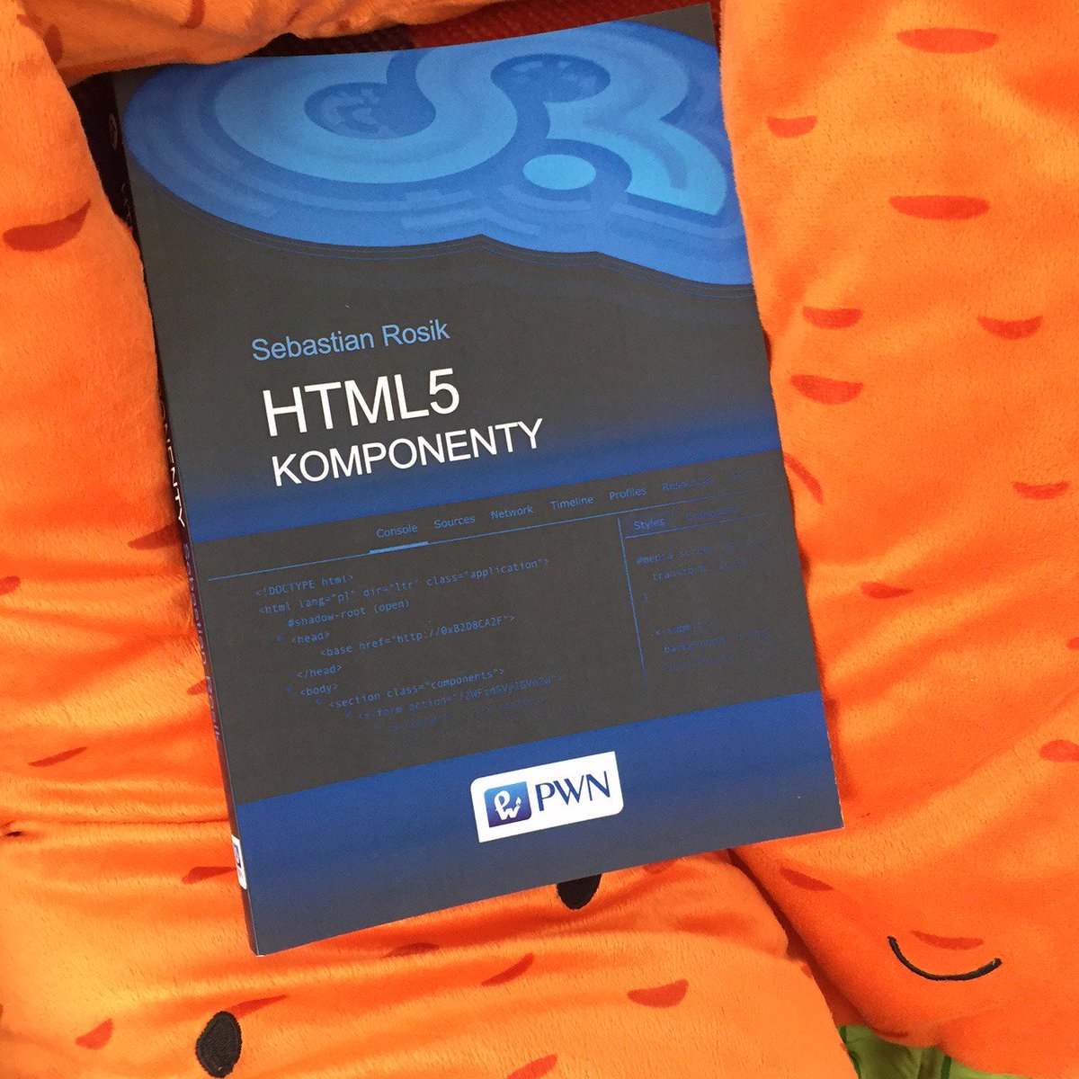 ggcarrots's tweet photo. Geekowa lektura na plażę: "HTML5 Komponenty" Sebastiana Rosika od PWN #html5 #codecarrots https://t.co/8HqlwDRJFE