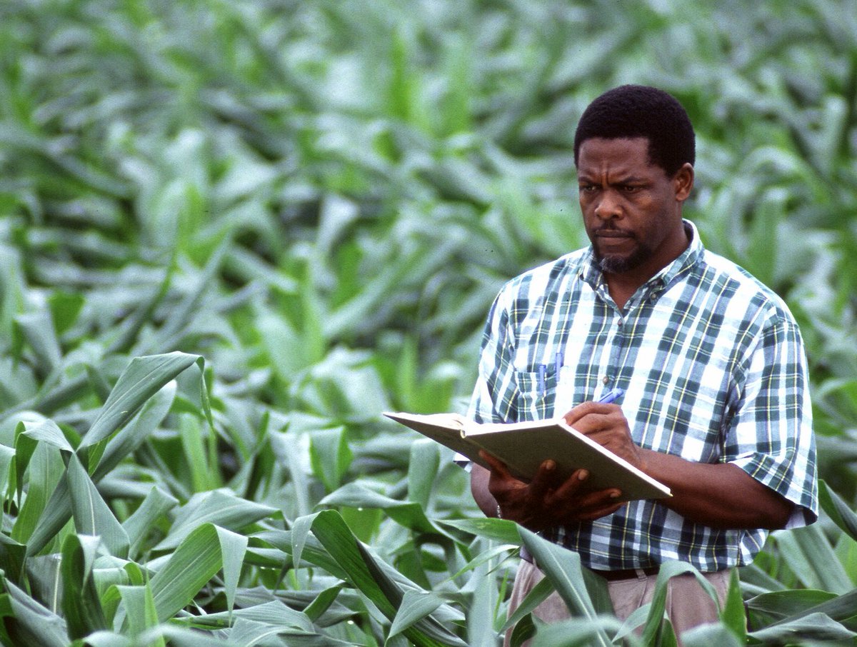 hellocanlio's tweet image. More cutting-edge cannabis science from  Philippe Henry and his colleagues  canlio.com/blog/cannabis-…