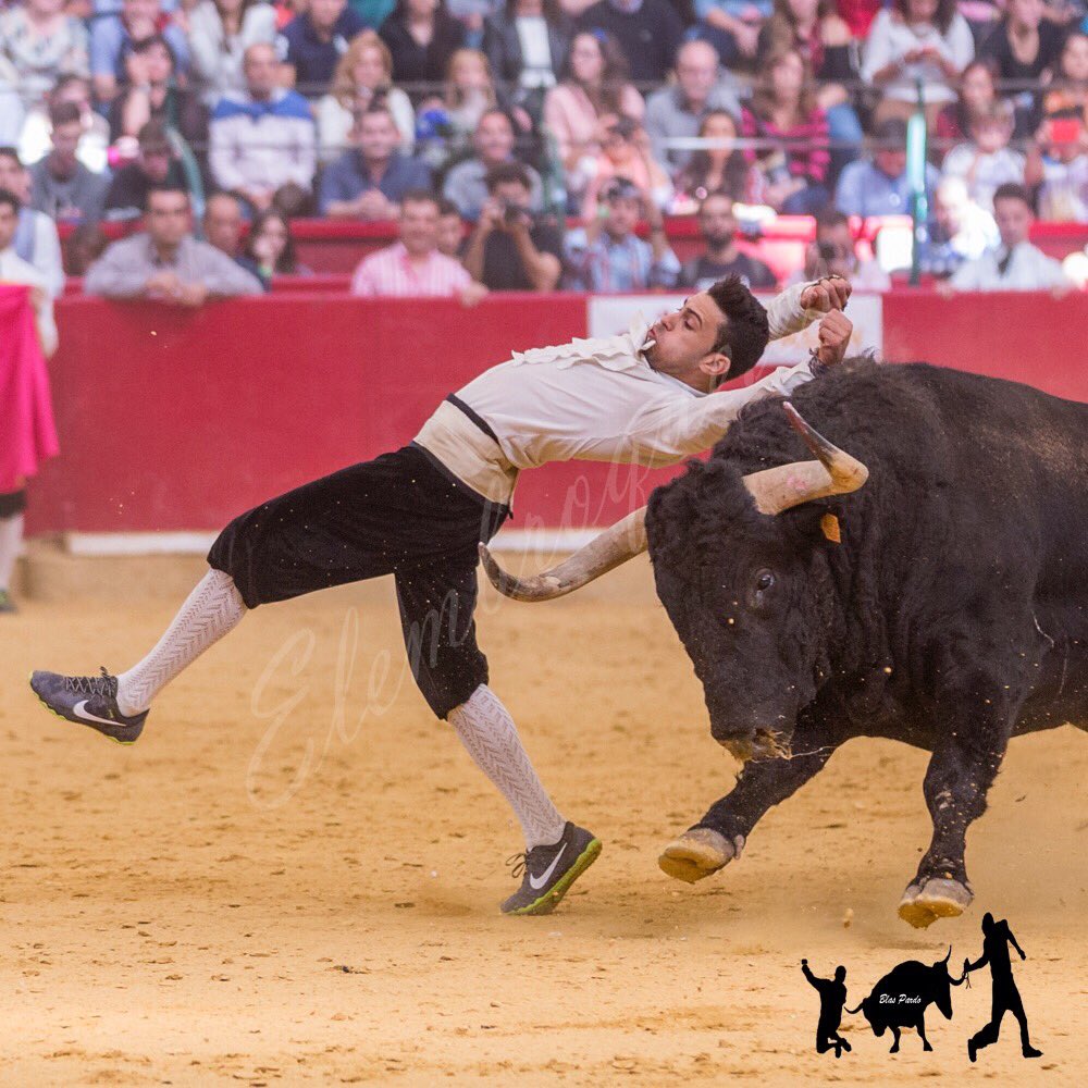 elembroque's tweet photo. @JonatanEstbanez nunca defrauda
#finca #campobravo #campo #toreo #traficion #tauromaquia… https://t.co/FPGIyyitzf https://t.co/MP9OtaoDyA