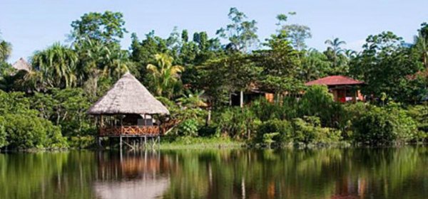 NUEVAS ACP
MINAM reconoce dos nuevas Áreas de Conservación Privada en #SanMartín y #Loreto-> goo.gl/J9XPqy