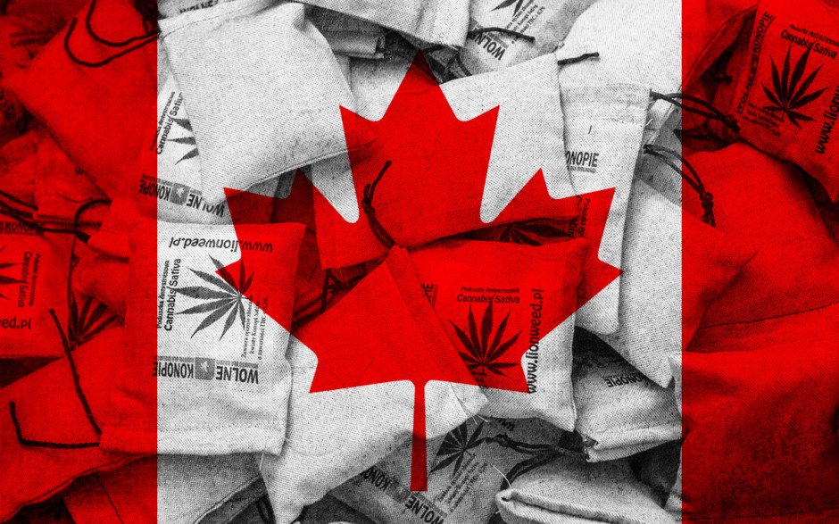 DOPE_Magazine's tweet photo. Toronto Cannabis Club Reopens Day After Raid - https://t.co/mjcS1Cwua4 https://t.co/Ejjun4h8Nh