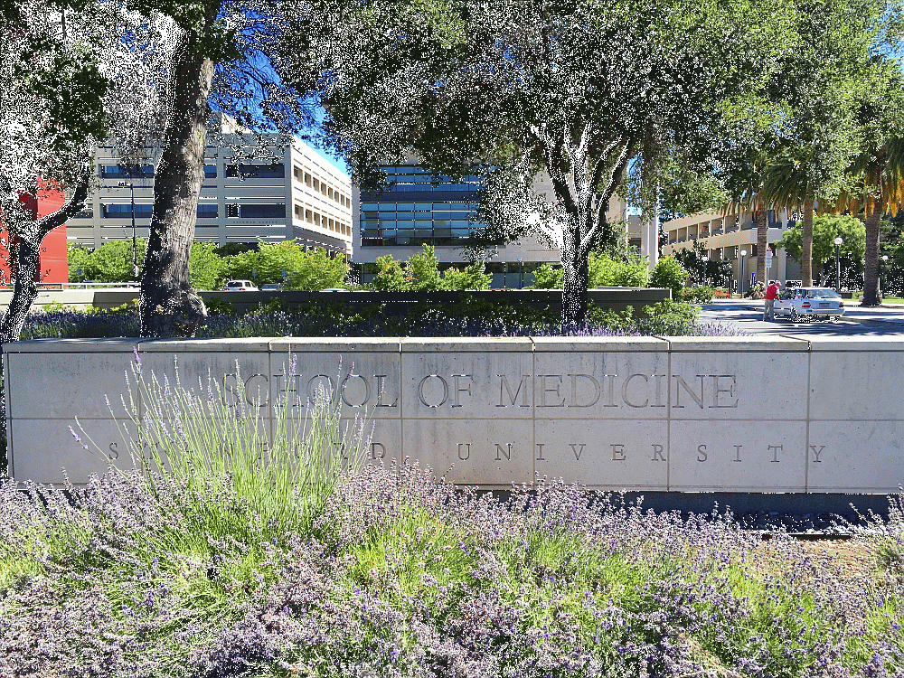 Marliesschijven's tweet photo. Thank you so much @mHealthSurgeon and team for hosting a fantastic 4th #WATCHconference! #hospitality #@stanfordMed https://t.co/UoAqdOH7Lj