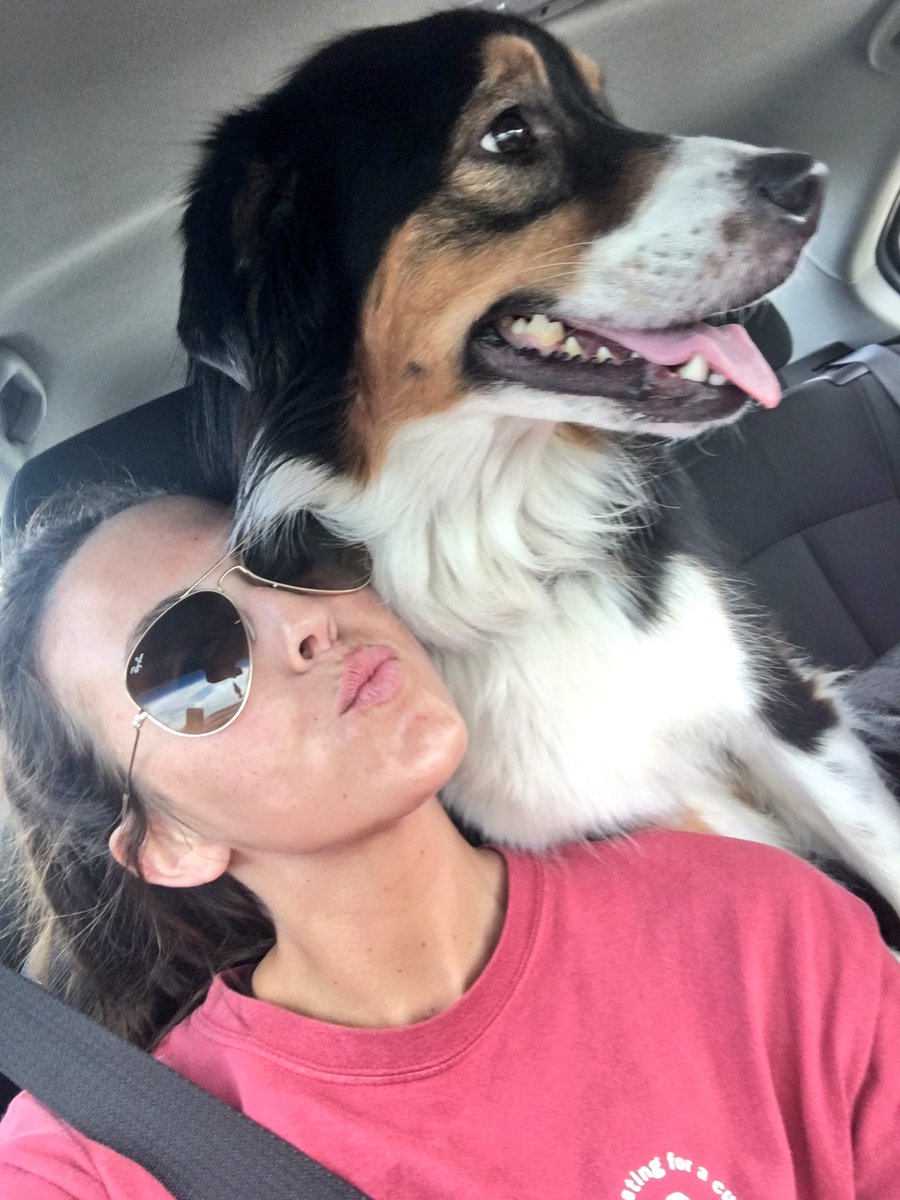 evans_ashlyn's tweet photo. I obviously love taking pictures with scout if you can't tell https://t.co/gcshaaY6LV
