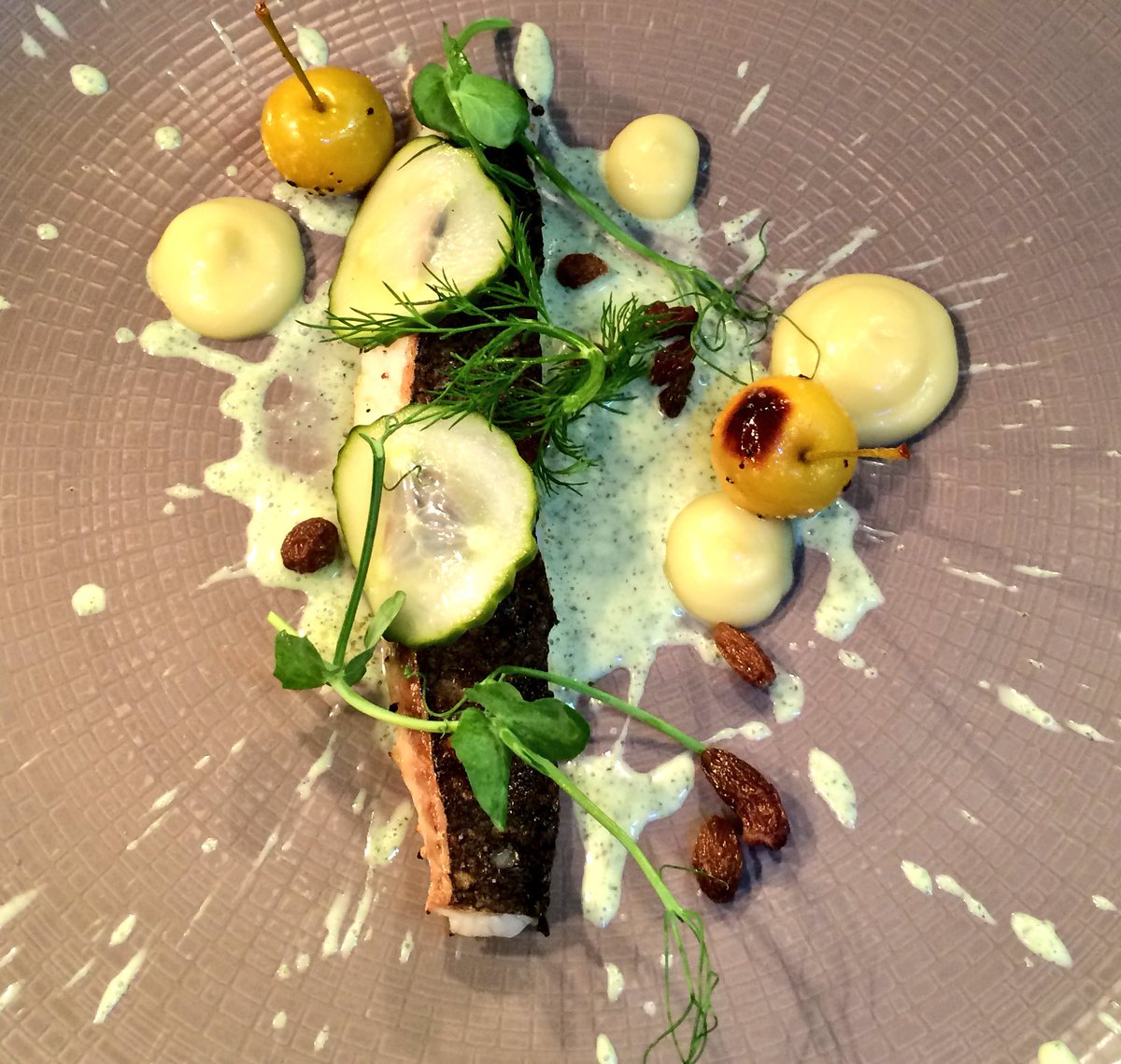 squarebistro's tweet photo. Seabass, apple, cucumber &amp; mint from @Fleigh1 what you think @massimobottura ? https://t.co/CTj0qKvZJY