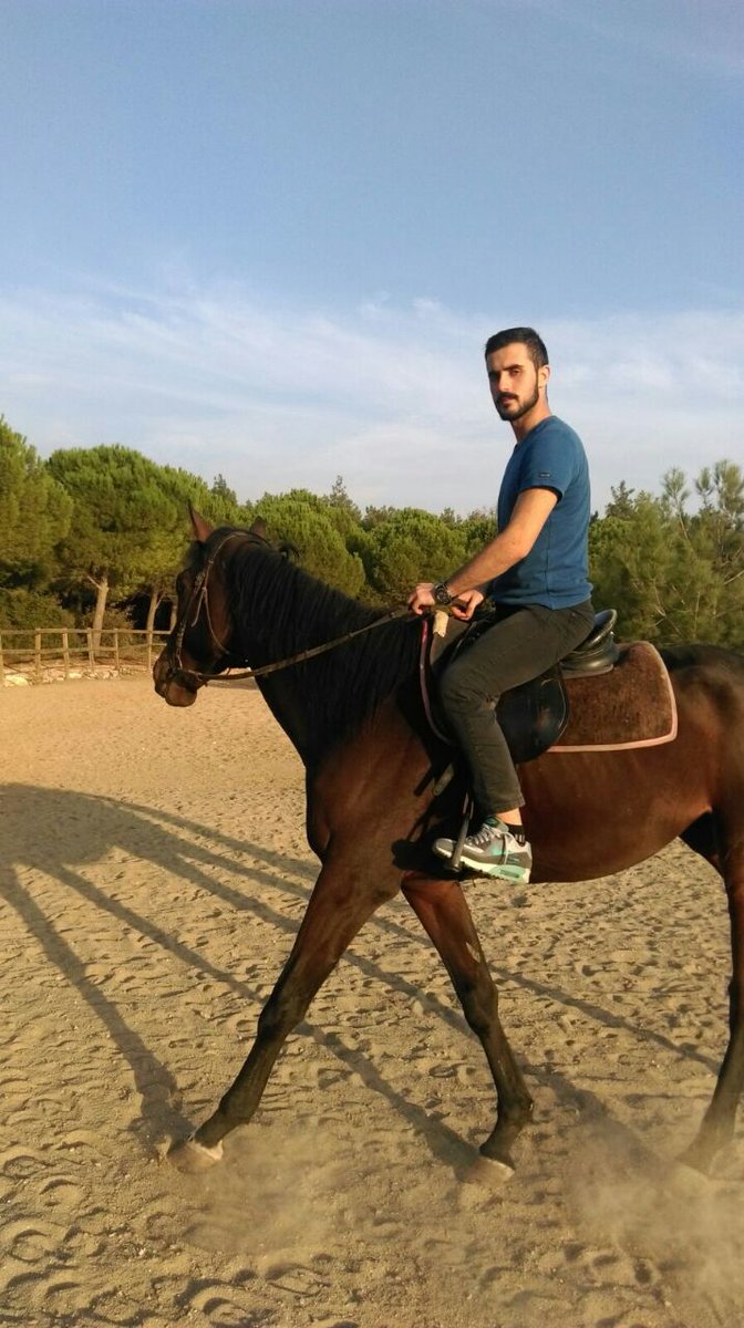 Yaşamak şimdi 4 nala