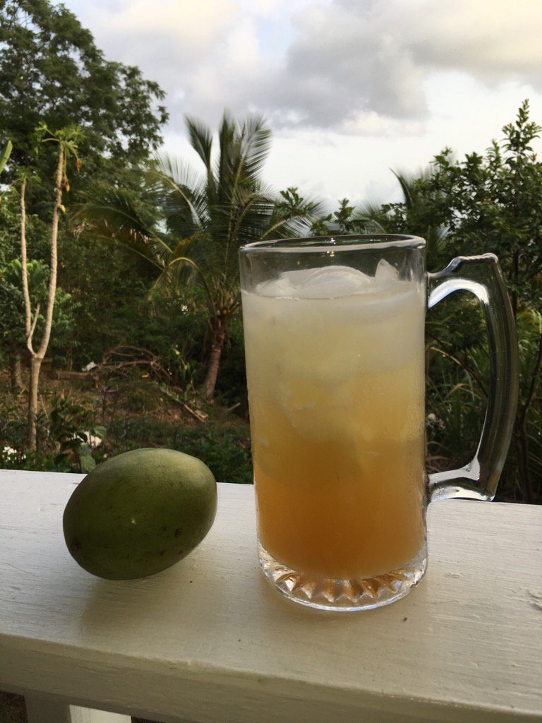 wahusayin's tweet photo. #sarsaparilla #jellywater #graftedmango #vi https://t.co/HeUtmKdi9n