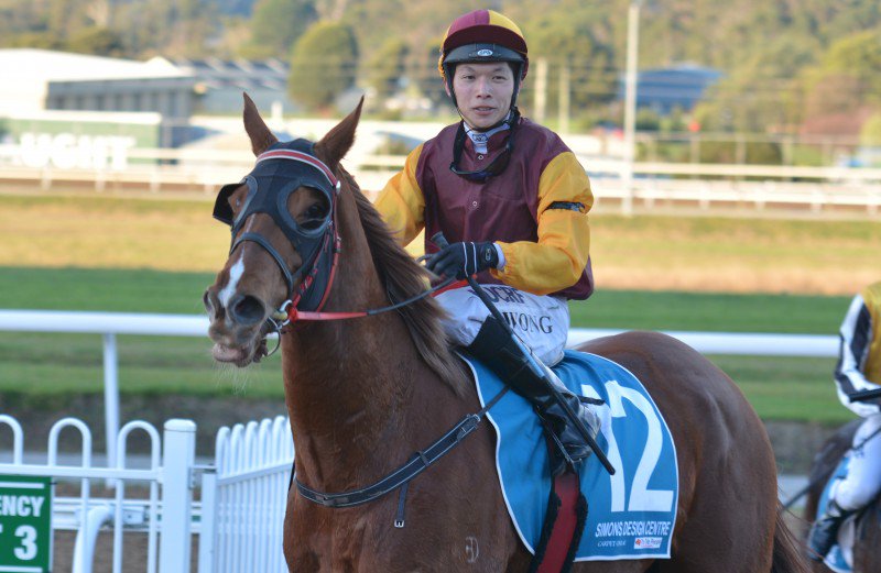 Tasracing Australia tweet media