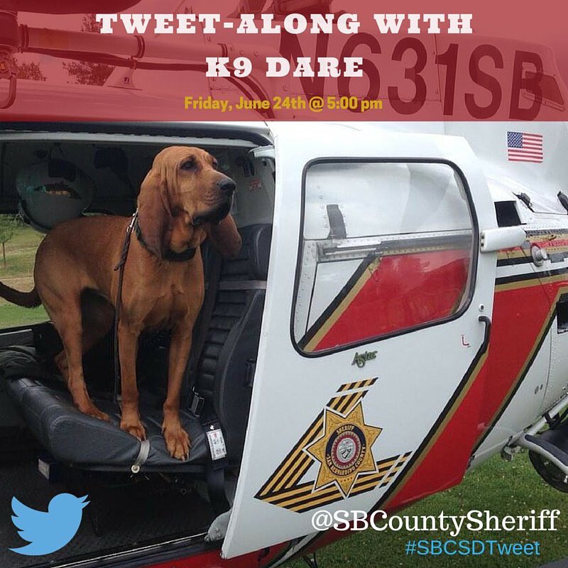 sbcountysheriff's tweet photo. Are you ready? K9 Dare is! Tweet us your ?s &amp; although Dare can't answer, her handler Dep Girard will be happy to. https://t.co/0Hz2oE38yQ