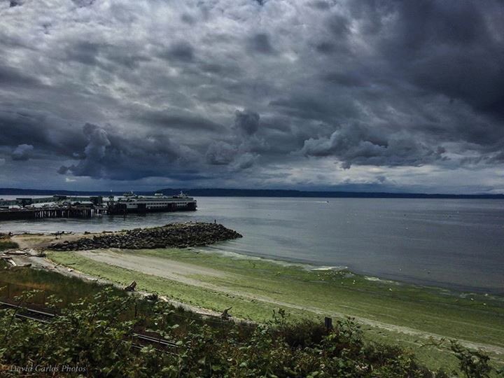 #lowtide in #Edmonds #wa 6-24-16
<a href="/yourtake/">Your Take</a> <a href="/KIRO7Seattle/">KIRO 7</a> <a href="/KING5Seattle/">KING 5 News</a> <a href="/komonews/">KOMO News</a> @NWCN #pnw  #wsf