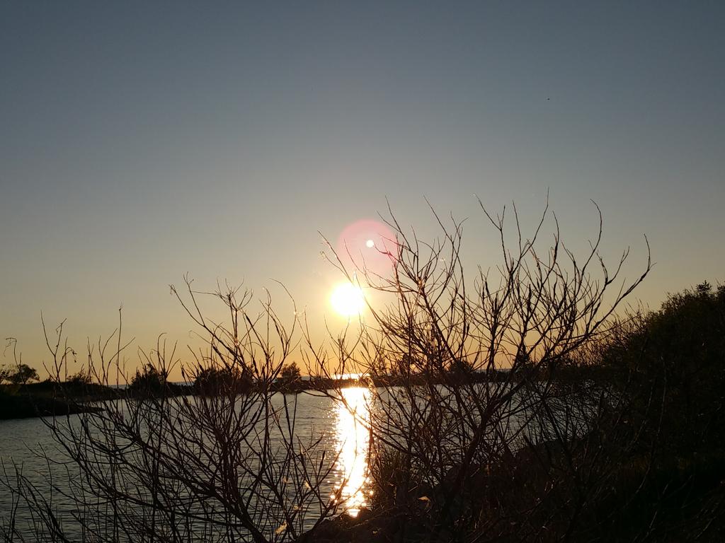 steelermick1226's tweet image. Hard to be anywhere but here right now..#wetaline
