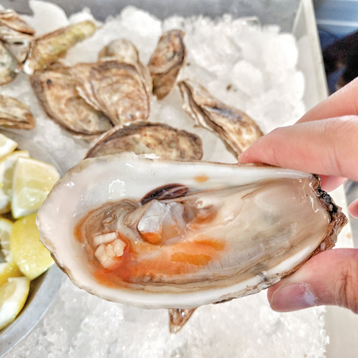 Oysters on the Half Shell from Richmond Station at Taste of Toronto