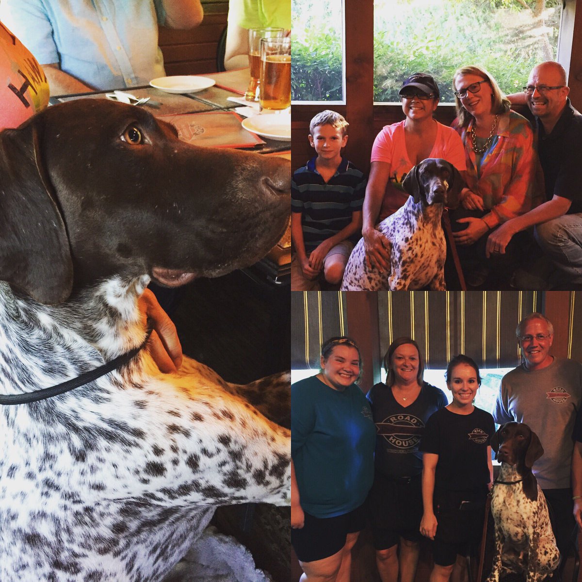 RedArwRoadhouse's tweet photo. Westminster Kennel Club Best In Show winner — CJ, GCH VJK-MYST Garbonita’s California Journey, came in for dinner! https://t.co/1eBxNQyMmE