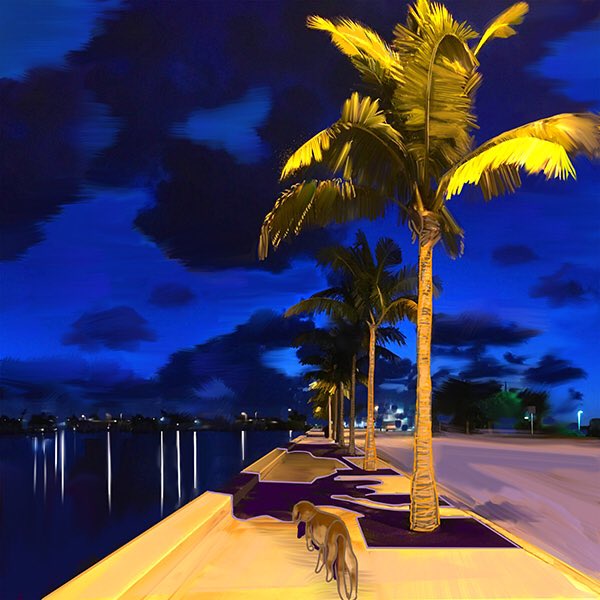 carria2010's tweet photo. Key West Roosevelt Boulevard 6 am dog walk https://t.co/HbLlvSQpbv
