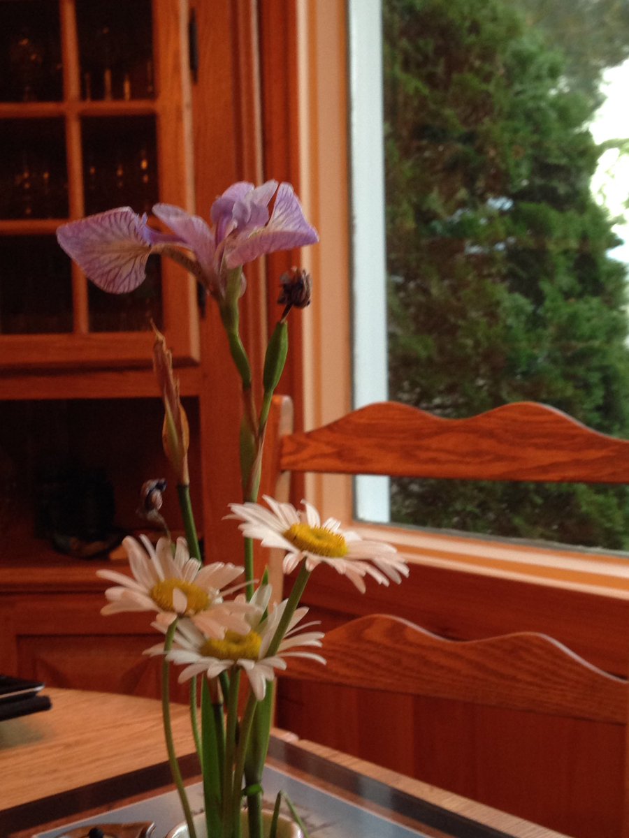 Bonne fête Nationale. Notre fleur nationale que j'ai plantée au bord du lac et qui fleurit le 24 juin chaque année