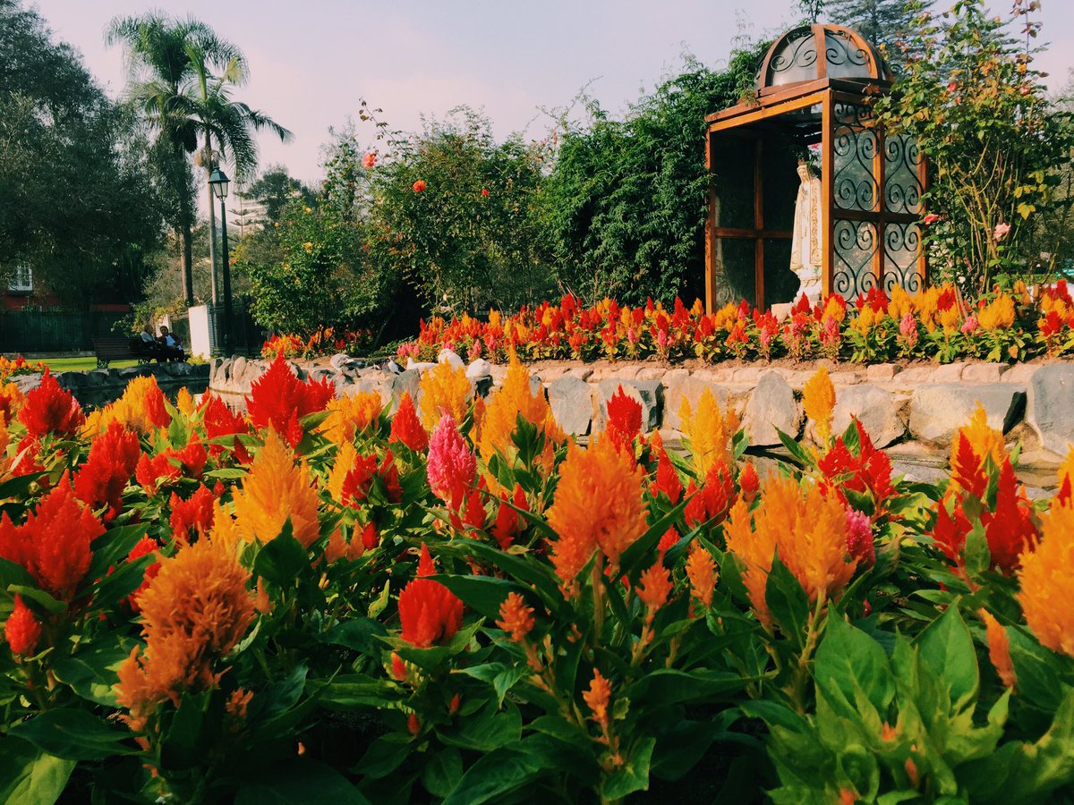 jordanmailes13's tweet photo. In love with this city ❤️🇵🇪 #ccslima #ccsperu @volunteerabroad https://t.co/Bs9R5yTjth