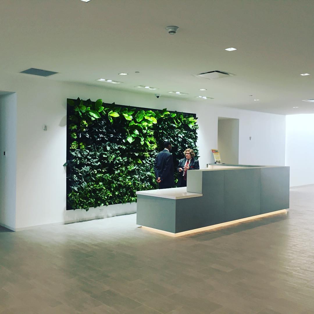 Michael Trippe, LC tweet media