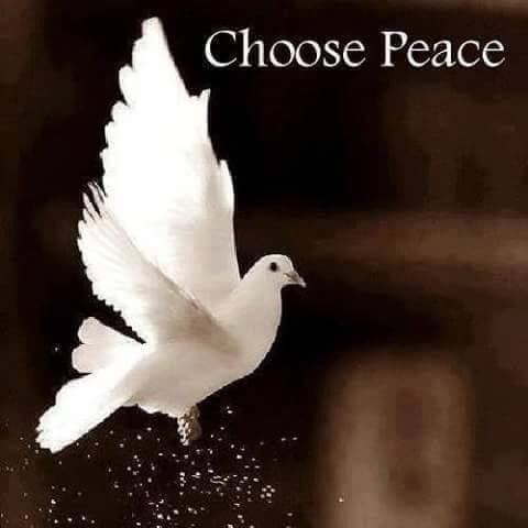 YMBBastepaway's tweet photo. "The simplification of life is one of the steps to inner peace. "
~ Peace Pilgrim. #IDWP #hour4peace https://t.co/P7mSSptQPk