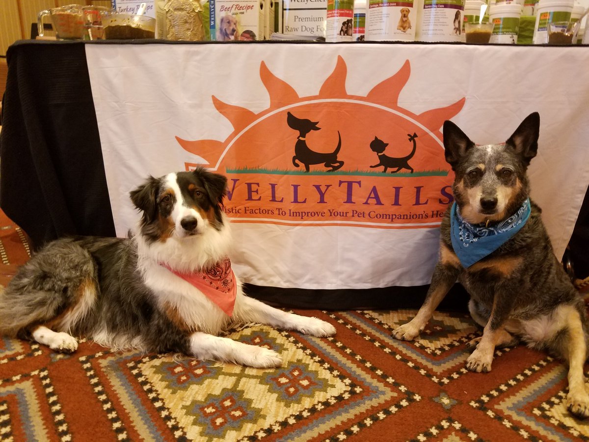 WindWolfPhoto's tweet photo. The @Wellytails #whereswipin booth @diamonddogdaily @BlogPaws @WomenInPetIndus #blogpaws https://t.co/BQmE0xEp8a