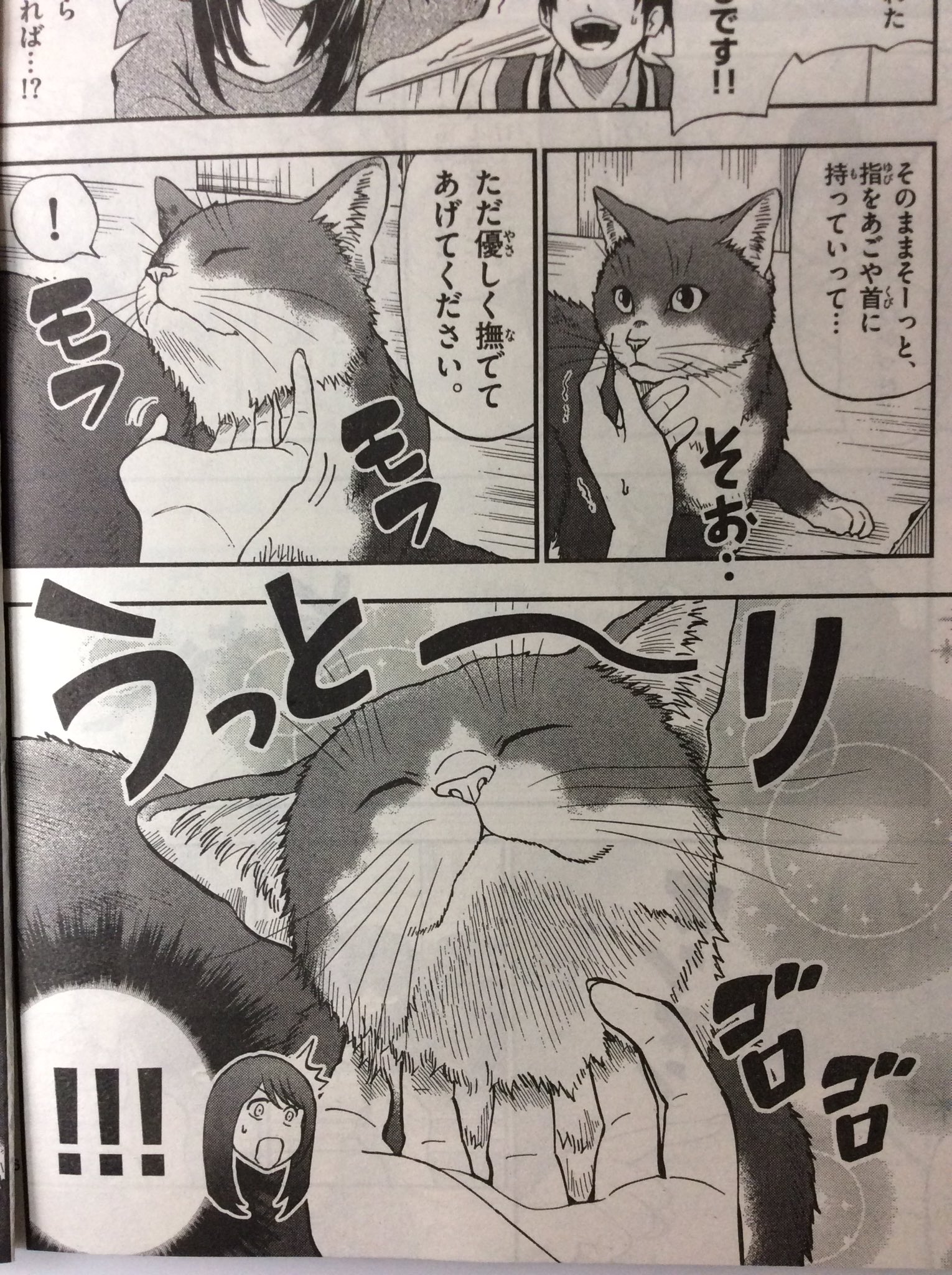 灘谷航 猫暮らしのゲーマーさん 1 6巻発売中 サンデーs 最新号に ねこったけ の9話目載っています カラーページをいただいての猫カフェのお話後編です トビラに7月発売の単行本2巻のカバー 灘谷航 猫暮らしのゲーマーさん 1 6巻発売中 サンデーs 最新号に ねこったけ の9話目載っています カラーページをいただいての猫カフェのお話後編です トビラに7月発売の単行本2巻のカバー