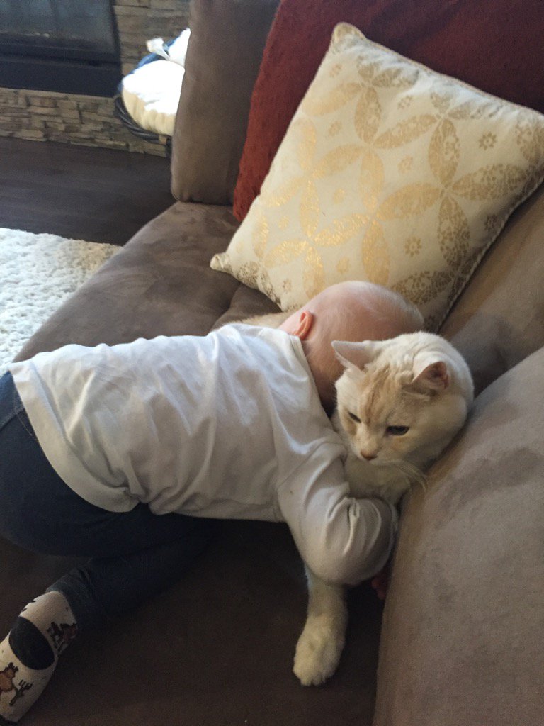 VeronicaJubi's tweet photo. My 18 month old niece Zoe giving my 19 year old cat Apollo a hug #toocute #patientkitty #caughtoncamera https://t.co/D7BR0iKRA1