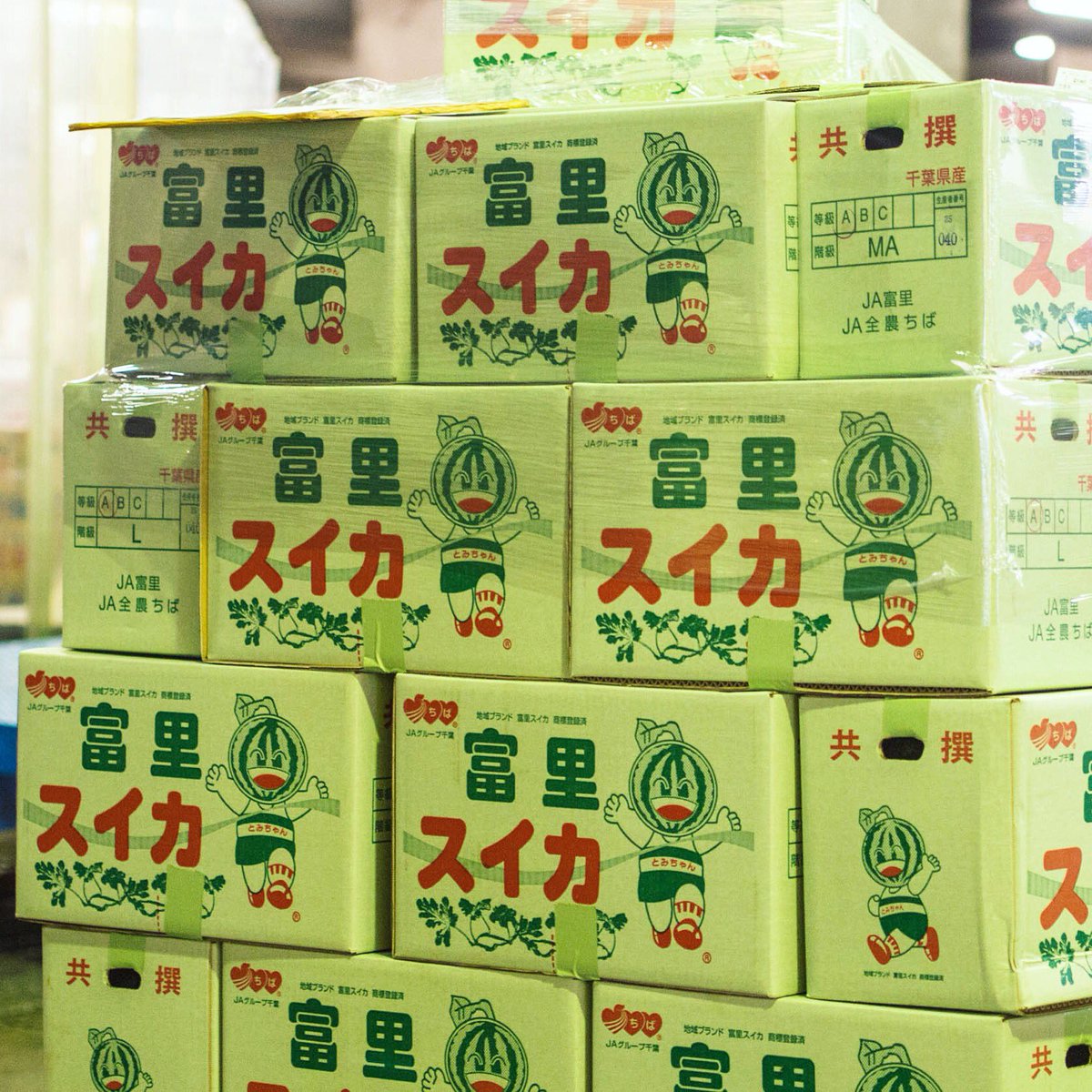 齋藤洋平 伊豆の観光カメラマン 野菜ダンボールの中でも特に面白かったのが今が旬のスイカです とみちゃんの富里スイカ オシャレなこだま西瓜 ドットがスイカ ストロングスタイルのマル新西瓜 ウォーホル風の北つくば西瓜 などなど 野菜