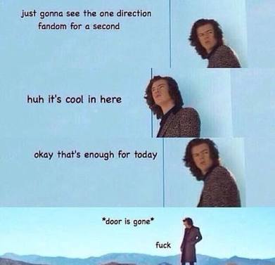wastedlouist's tweet image. *Me when I joined the fandom*
There is no escape 
Once a directioner -
#AlwaysADirectioner