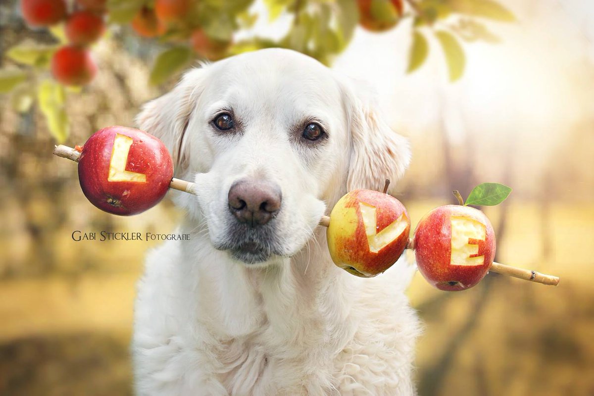 Guapa4 (@de_guapa) on Twitter photo 