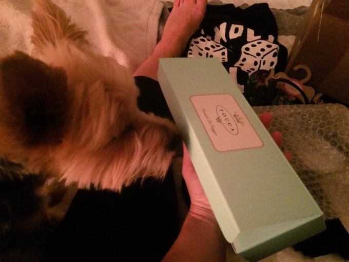 3:24am seems like a good time to open up my wish list gifts &amp; make a mess. https://t.co/ohkdCb2rpM<a href="/tag/love"class="tags"><span>#love</span></a>