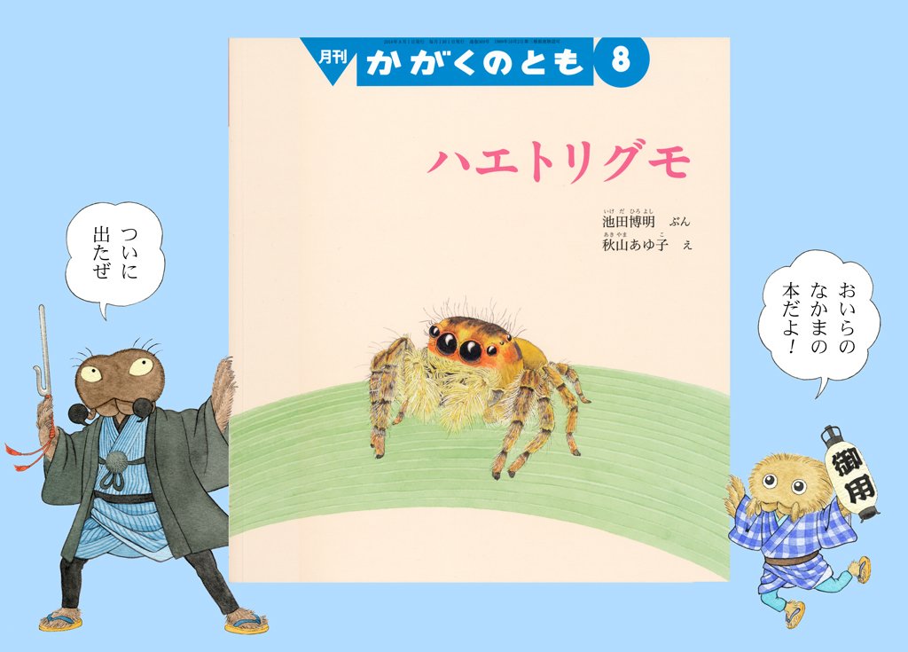 かがくのとも　クモの絵本セット　クモをみつけよう　ハエトリグモ　アリグモ　福音館 かがくのとも クモの絵本セット クモをみつけよう ハエトリグモ
