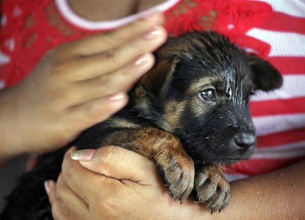 Воистину благие дела творятся негласно. Заговори о них, и весь смысл пропадет.