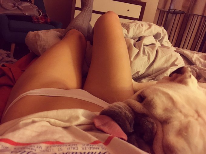 Goodnight Meatball. Goodnight moon 🌚  I keep telling Meatball to stop being lazy. No wonder he doesn't<a href="/tag/thongthursday"class="tags"><span>#thongthursday</span></a><a href="/tag/nothongthursday"class="tags"><span>#nothongthursday</span></a>