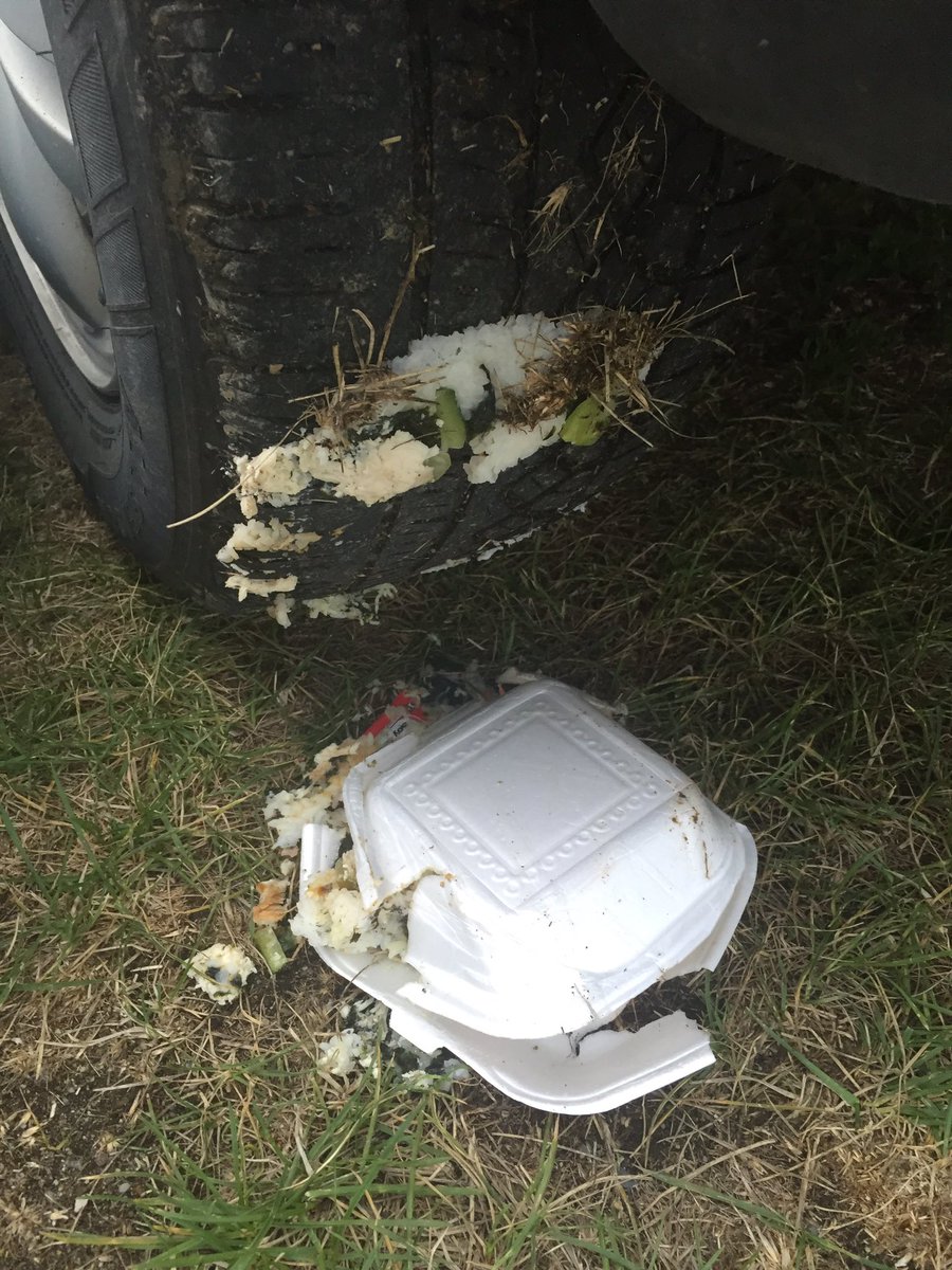 mrsfrecklekim's tweet photo. When you run over your leftover sushi while trying to get the best drive-in angle...#kimfail https://t.co/Pq9t3WBVYW