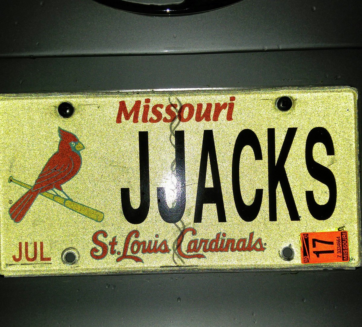 Mandi73Sue's tweet photo. #Cardsplate #VoteSTL https://t.co/OJSnkcmnmp
