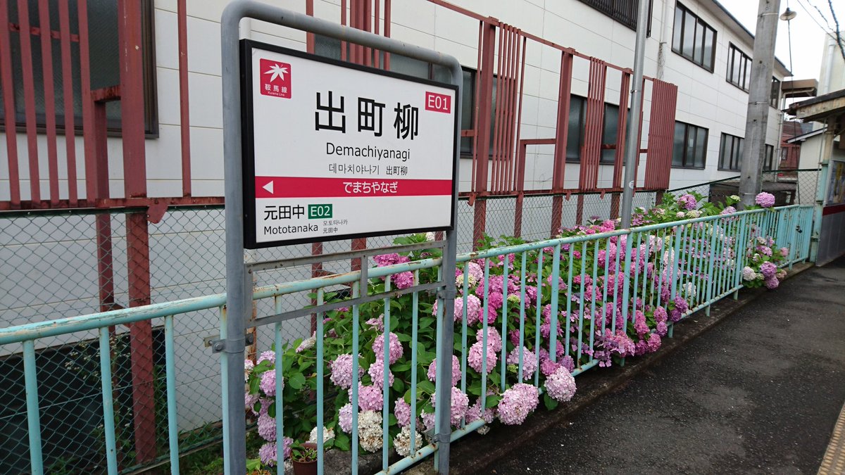 eizandensha's tweet photo. 出町柳駅のアジサイ https://t.co/PoVVLoUNH3