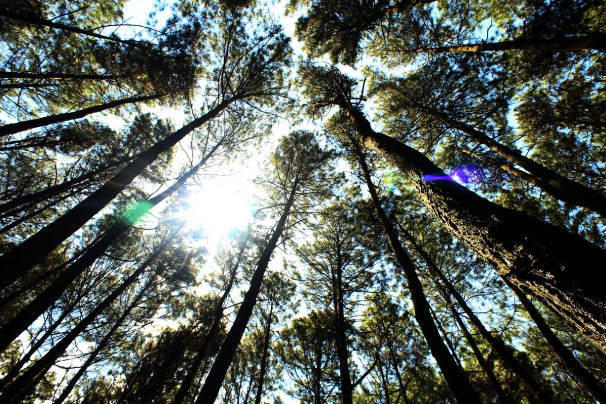 Happy weekend :) #trip #explore #nature #calm #piknik