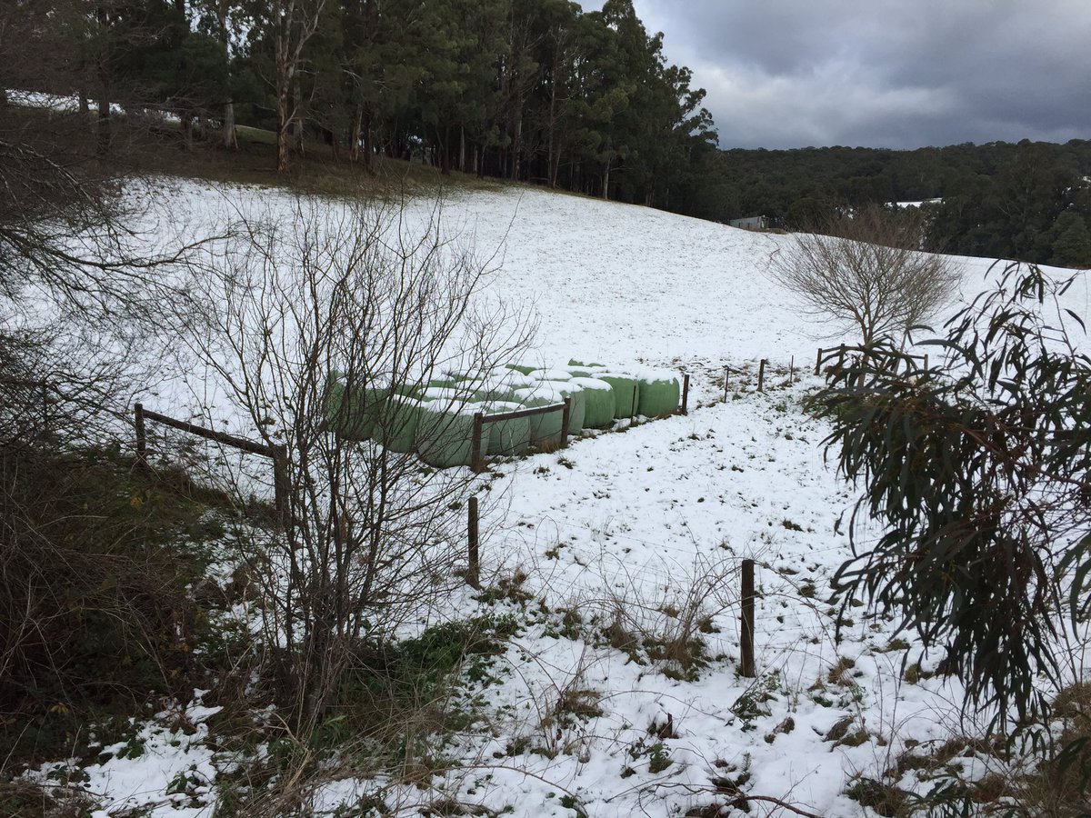 Aubrey Pellett tweet media