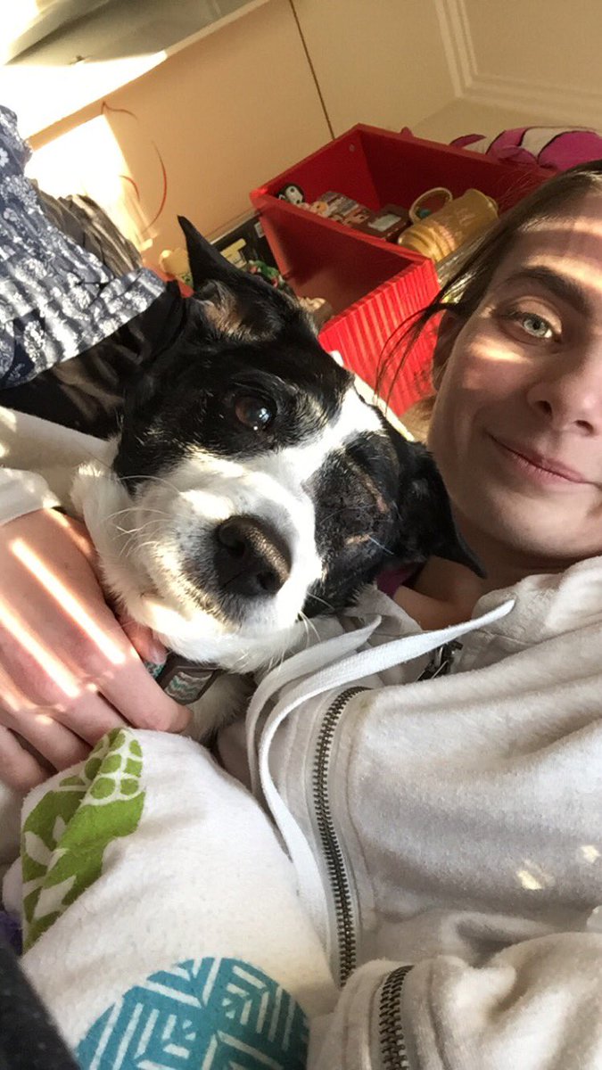Fiplans's tweet photo. First a one eared cat, now a one eyed dog to add to the group of pets missing body parts. https://t.co/qMyayNbBJC