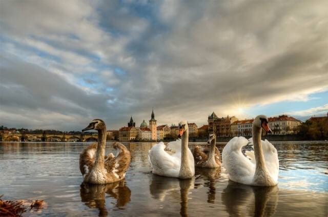 فخرج منها خائفاً يترقبُ قال ربّ نجني من القوم الظالمين 💧