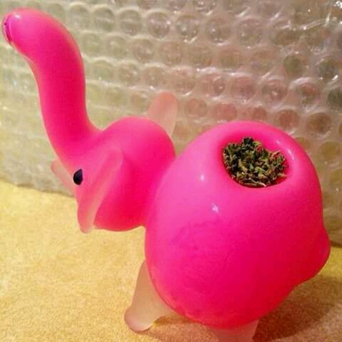Pebbles_Raves's tweet photo. Wishing I was smoking a bowl :( #wishinh #smoke #weed #pipe #elephantpipe #love #pink https://t.co/7ZTV4G1nFy