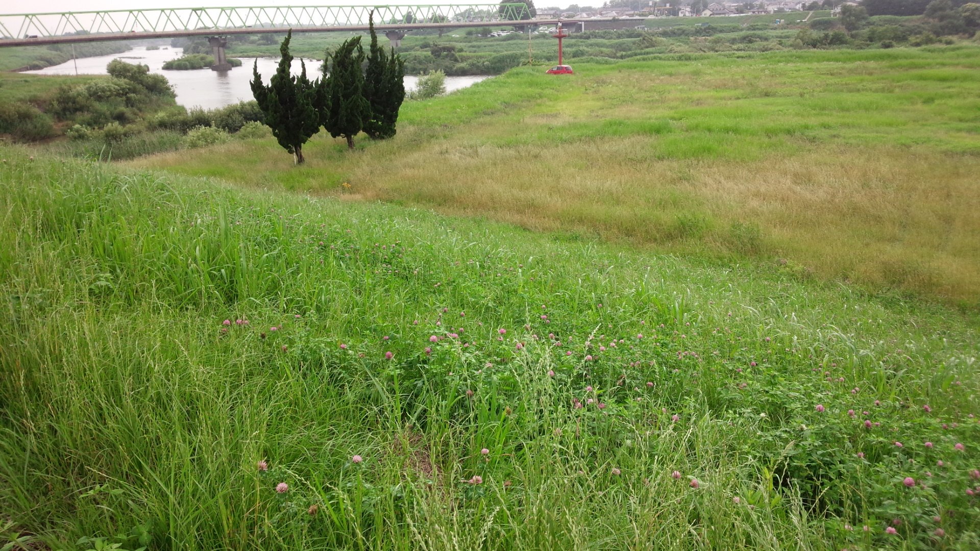 かこ Sur Twitter 今日はmovixつくばで６回目のおかわり植物図鑑 観賞後 ロケ地巡りへ行って来ました W この土手の下辺りが花冠のシーンかな 植物図鑑 おかわり植物図鑑 植物図鑑ロケ地 植物図鑑花かんむり 常総市