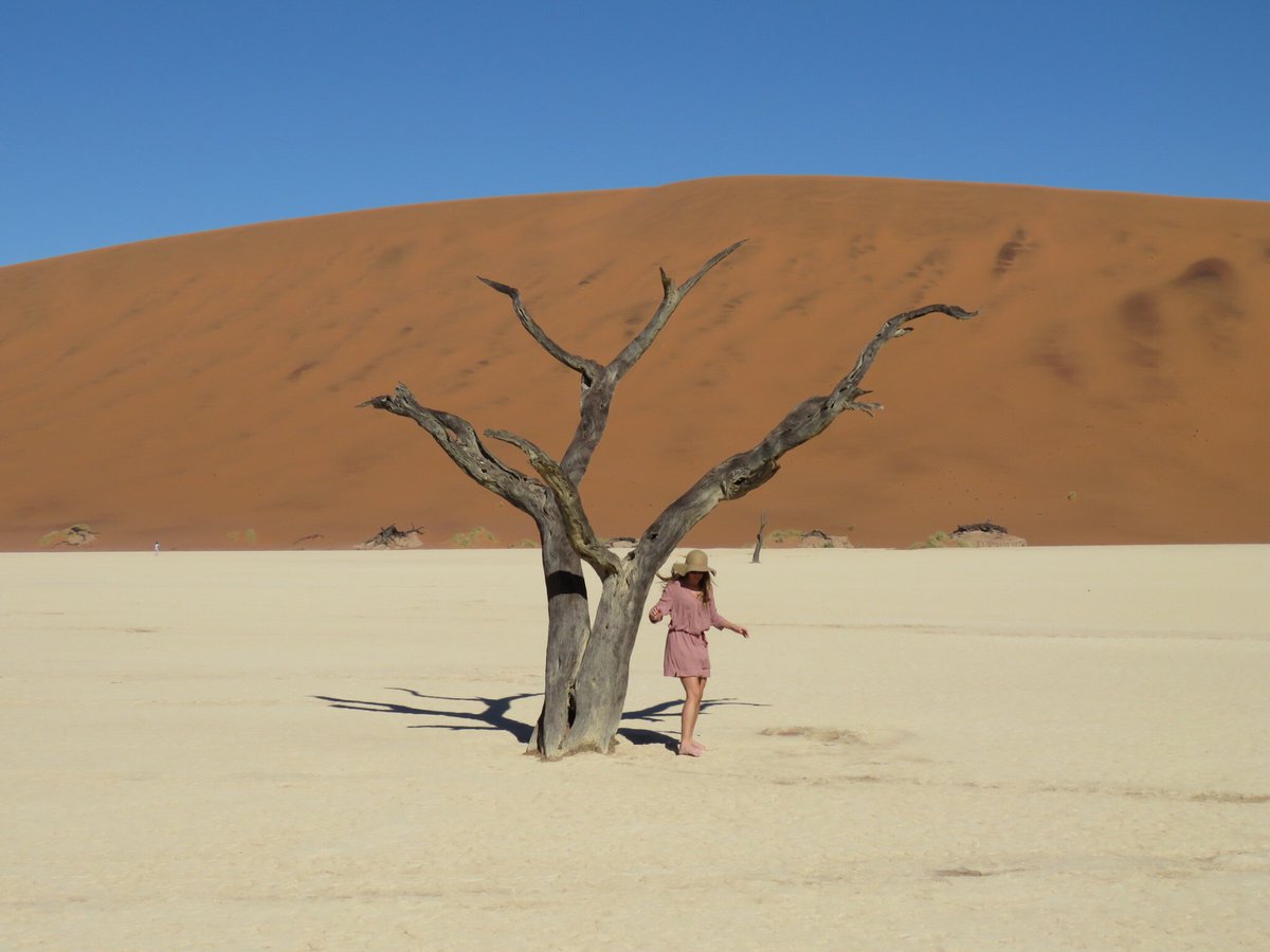 KayleeFeesh's tweet photo. Deadvlei @PutFootRally #travel #namibia #sossusvlei #deadvlei #africa https://t.co/Dzvr22bUB8