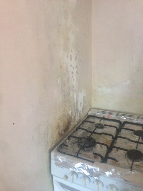 CCSweClean's tweet image. #Lending a Hand!!!
#PropertyMaintainance  #Realestate #Tiling #Painting #PerthAllareas
Book Online. #FreeQuotes